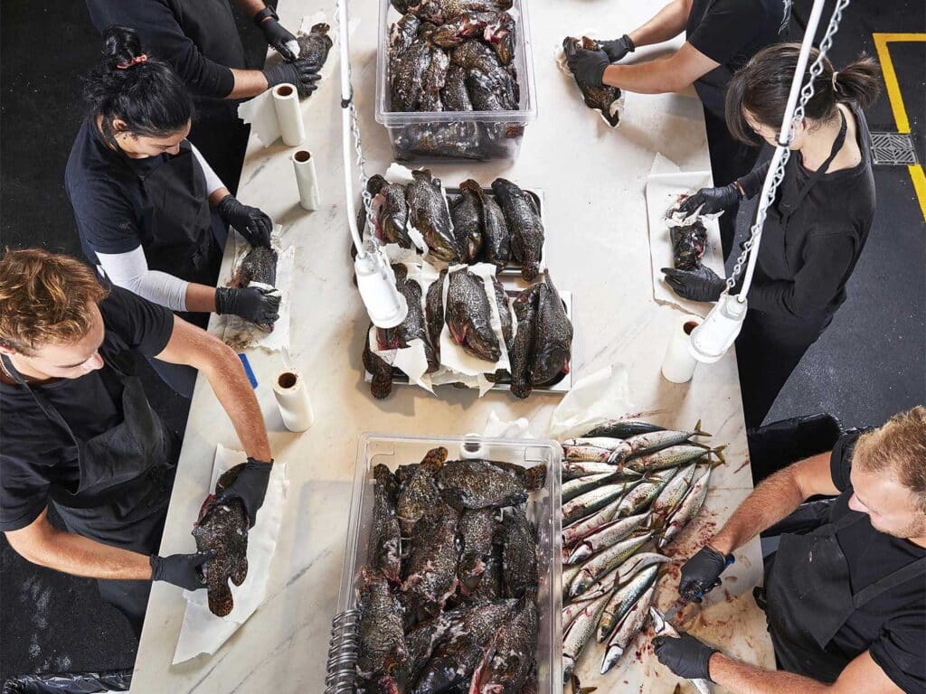 fish processing and butchering table