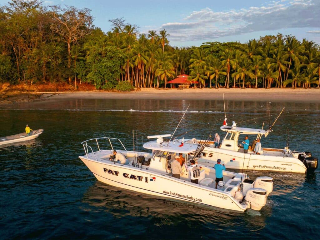 Sport-fishing boats.