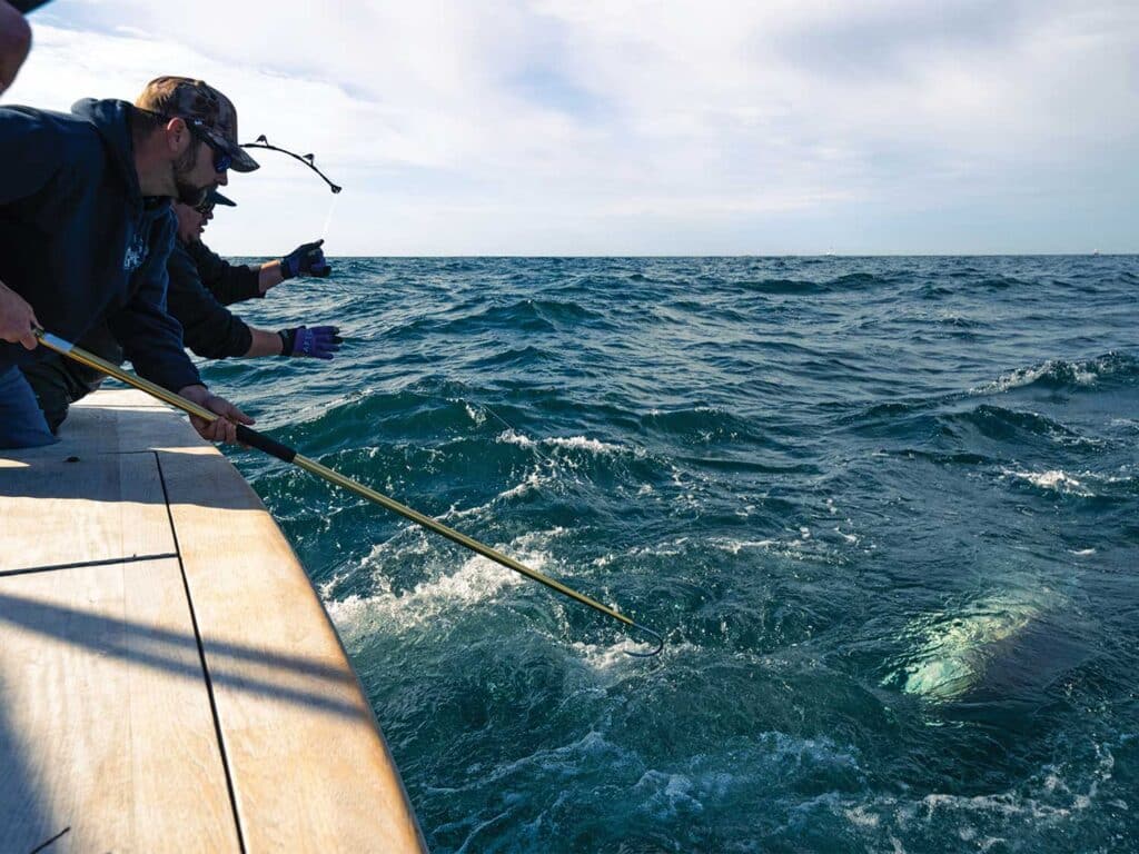 Anglers tuna fishing from the cockpit