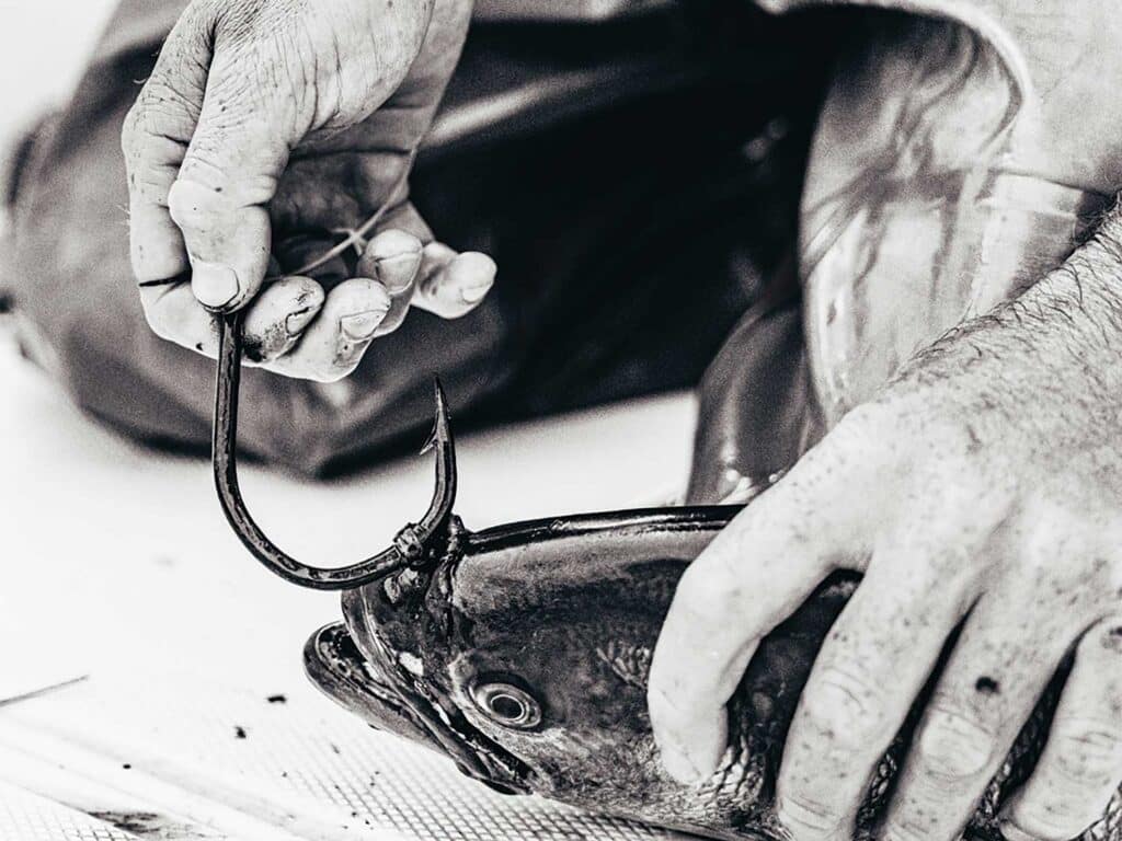 Angler hooking bait