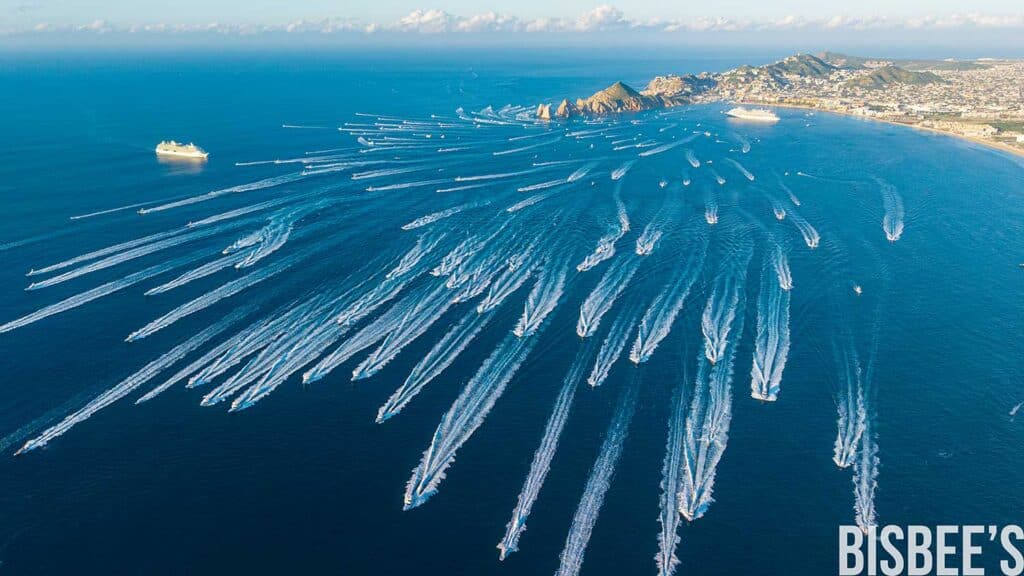 Aerial view of Bisbees Black & Blue fleet