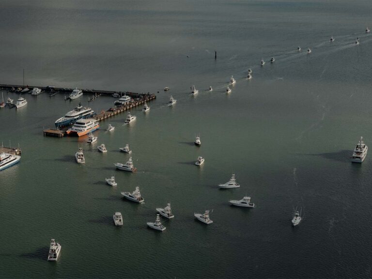 Cairns Black Marlin Tournament fleet