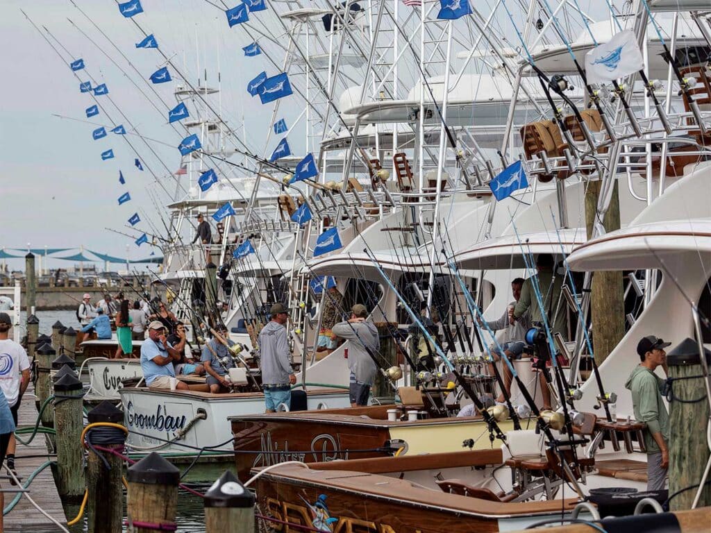 Sport-fishing boats with tournament flags