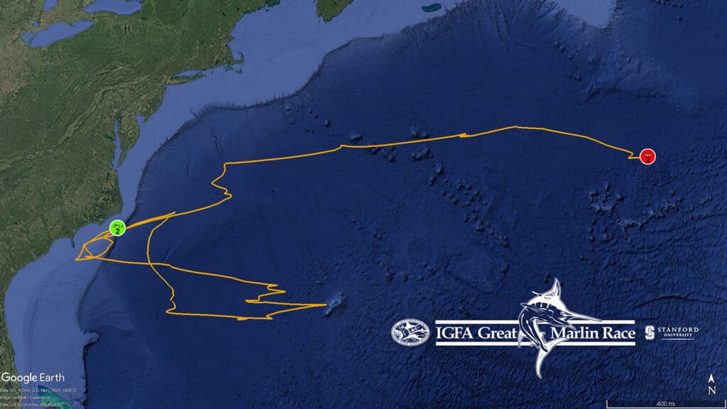 IGFA Great marlin race
