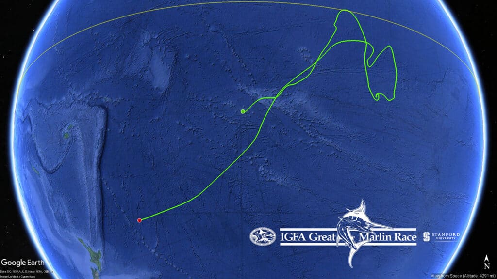 IGFA Great marlin race