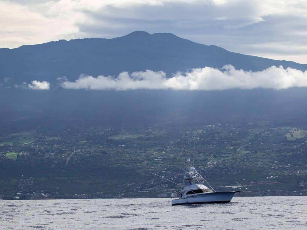 Kona shoreline
