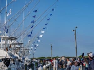 NC Fall Sails fleet