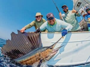 Marlin Expeditions Sailfish