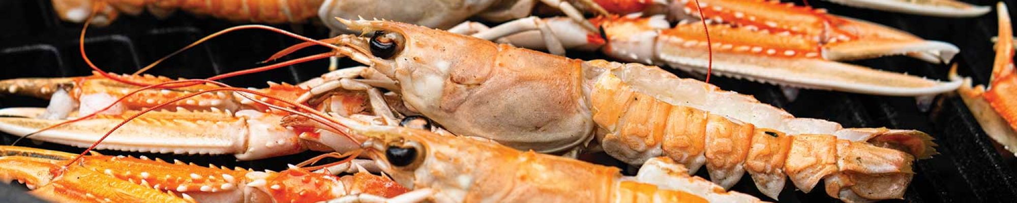 An arrangement of Langoustines on a Big Green Egg grill rack.